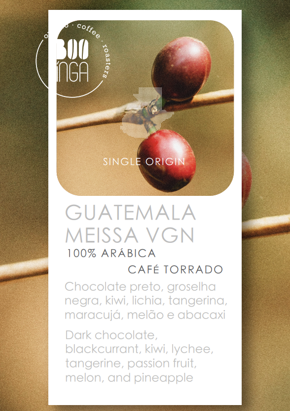 Guatemala Meissa VGN | Origem Única