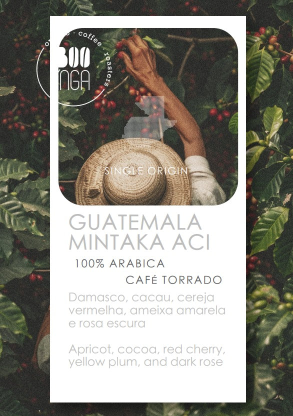 Guatemala Mintaka | Origem Única