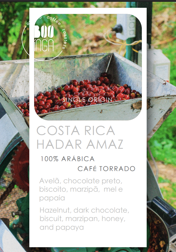 Costa Rica Hadar AMAZ | Origem Única