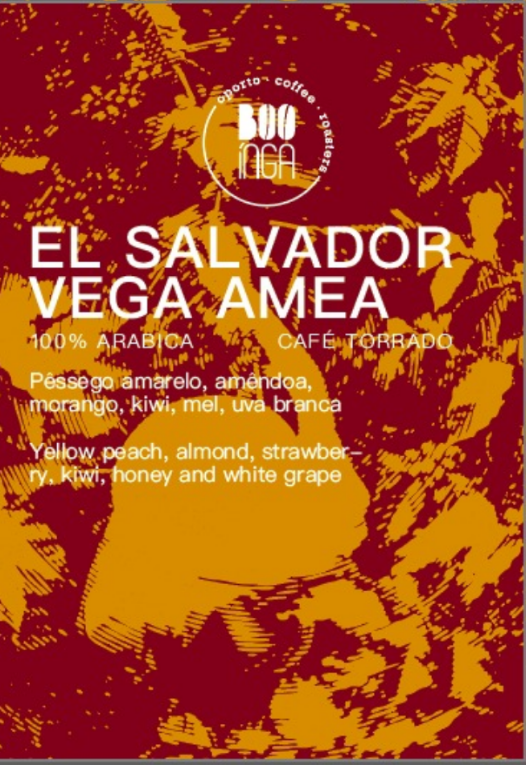 El Salvador Vega AMEA| Geisha | Origem Única