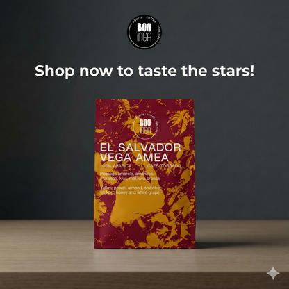 El Salvador Vega AMEA| Geisha | Origem Única