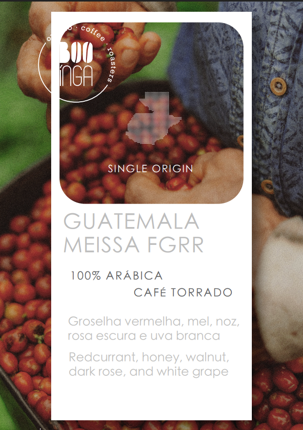 Guatemala Meissa FGRR | Origem Única