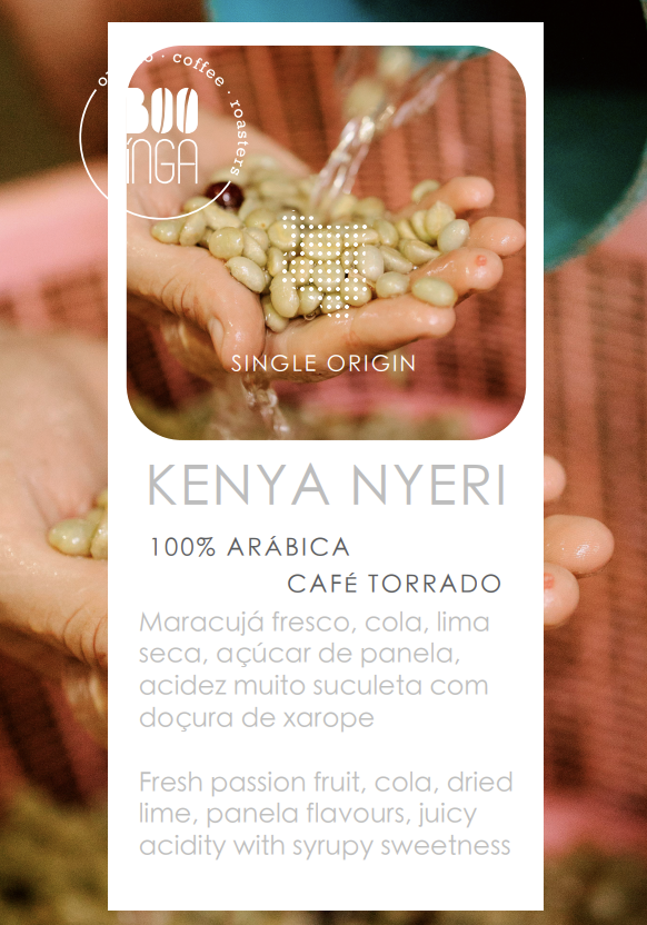 Quénia Nyeri Hill Estate AB | Origem Única