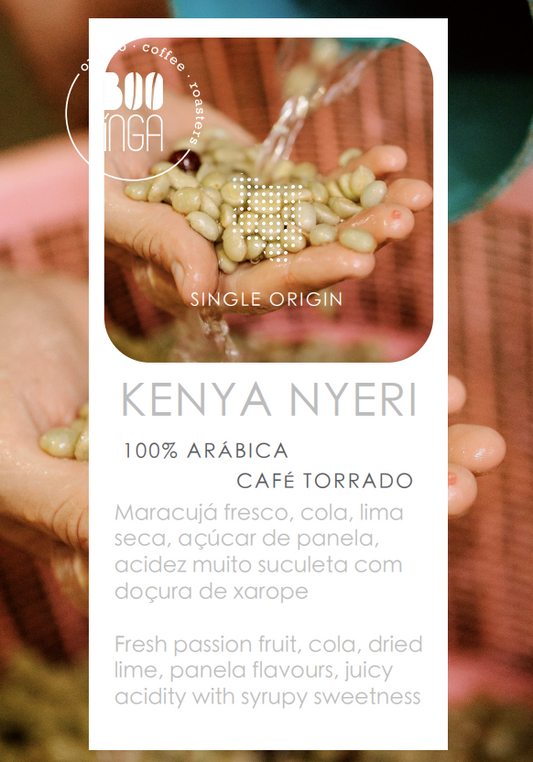 Quénia Nyeri Hill Estate AB | Origem Única